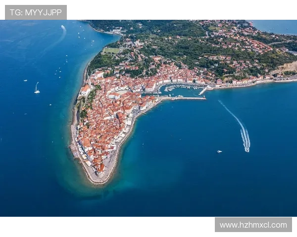 从海滨小城到欧洲赛场探秘法国尼斯俱乐部的辉煌与崛起之路 从海滨小城到欧洲赛场探秘法国尼斯俱乐部的辉煌与崛起之路